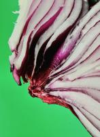 Winning Image of the MLW Prize for the Young Photographer of the Year,
Winner Billy Dixon-Clarke, Trafalgar School (Y 7-10). Title: “Life is like an onion”